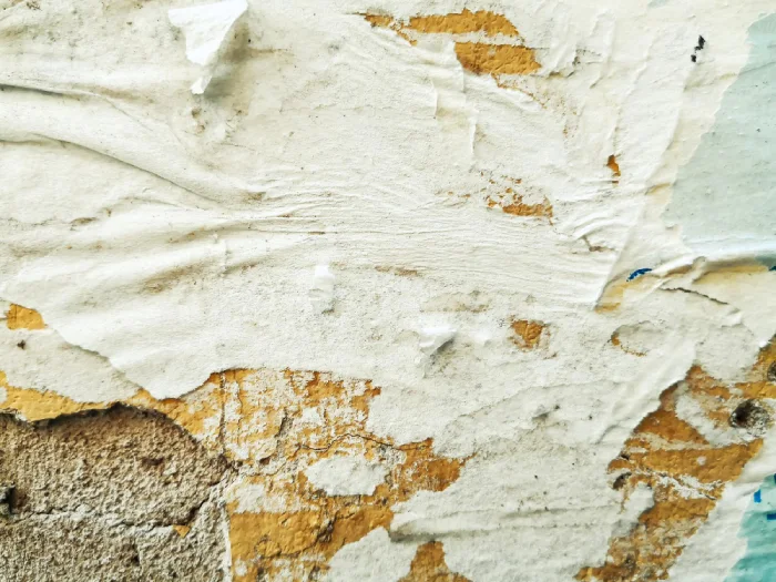 Peeling Paint or Bubbling Wallpaper