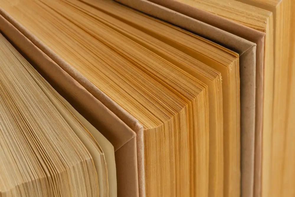 Plywood Supplier